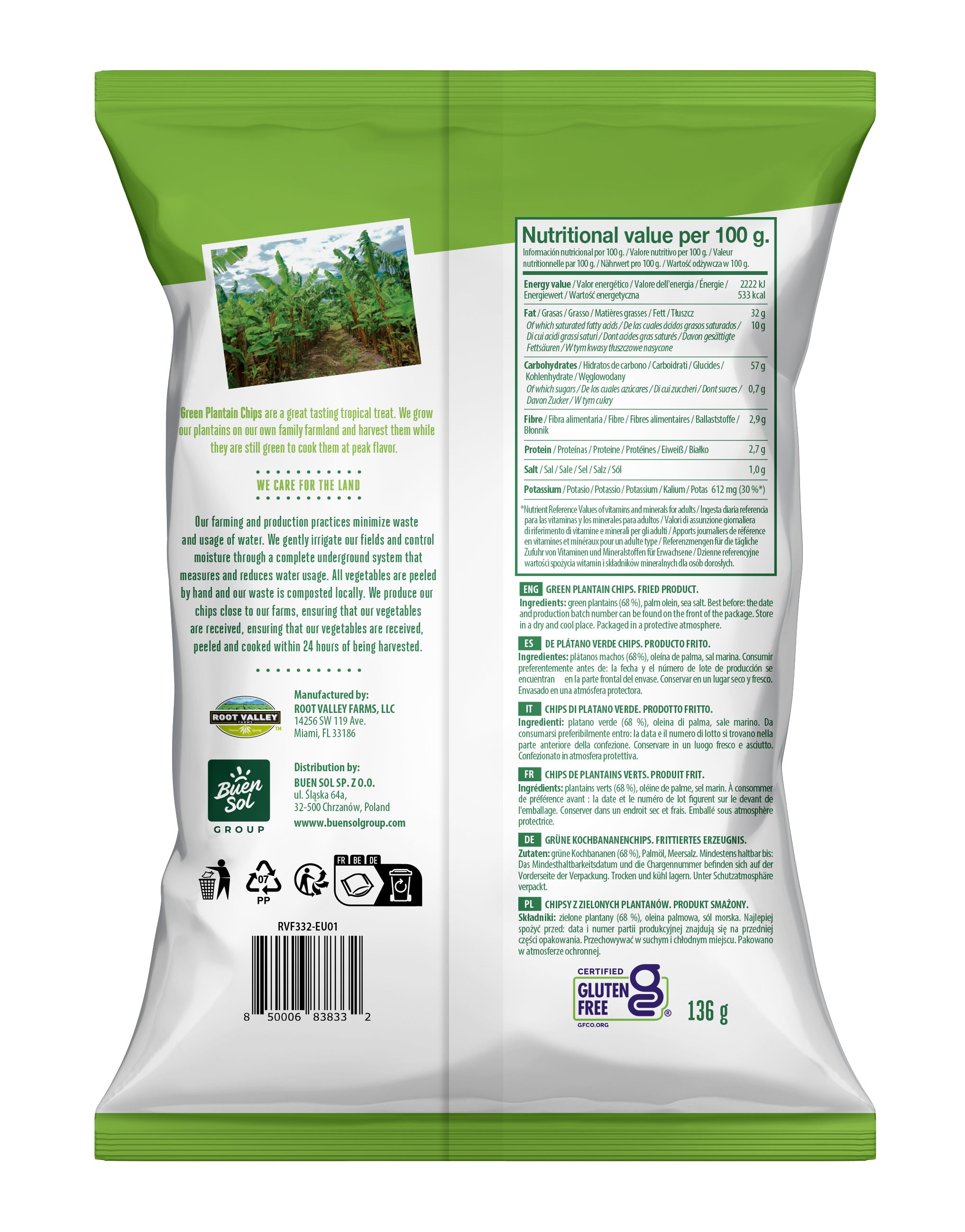 ROOT SMARTS- Tropical Green Plantain Chips - Lebensmittel Europa